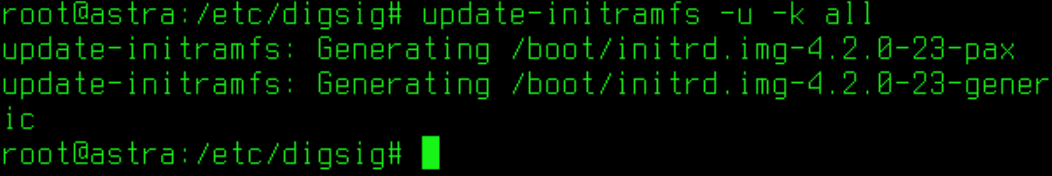 Ввод команды для запуска ЗПС